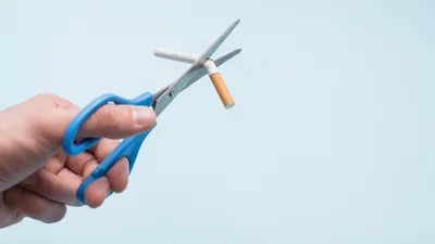 , фото - Новости Zakon.kz от 01.11.2025 15:09