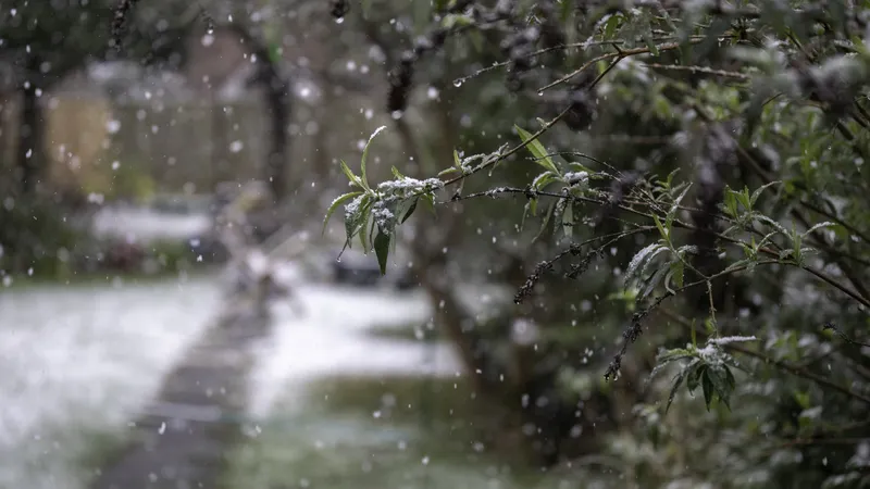 Дождь, снег и гололед: синоптики рассказали о погоде на 2 ноября