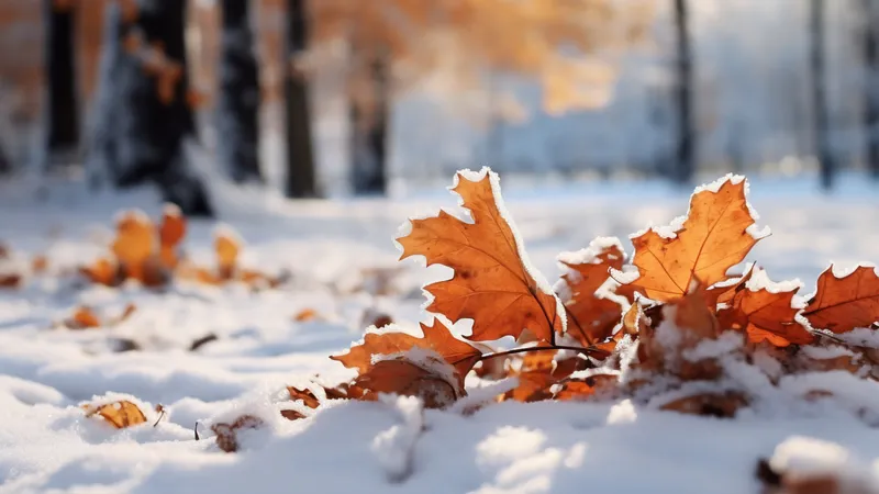 Дождь, снег и гололед: опубликован прогноз погоды на 3 ноября