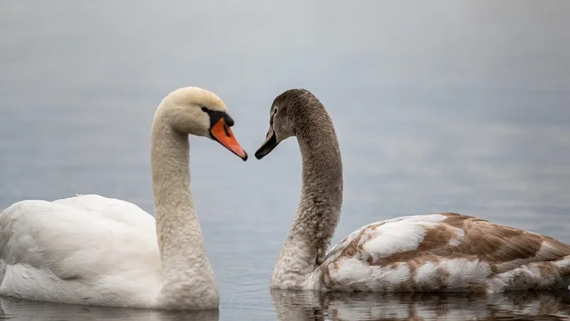 Гороскоп на воскресенье: день начнется спокойно, но завершится неожиданно