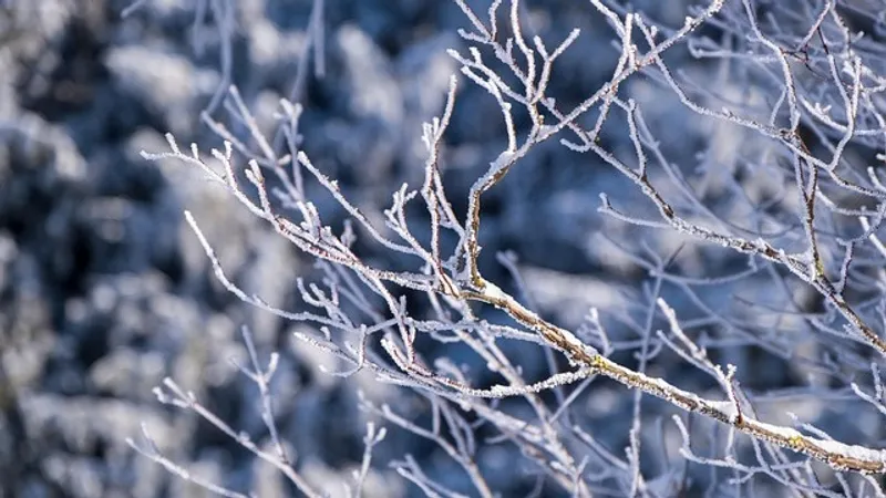 Какая погода ожидает жителей Астаны, Алматы и Шымкента в ближайшие три дня