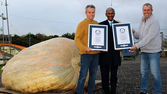 Эротикалық әдемі жалаңаш әйелдер