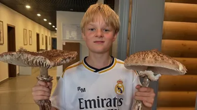 Александр Плющенко, Рудковская, госпитализация , фото - Новости Zakon.kz от 04.11.2025 01:14