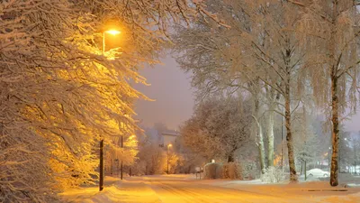 , фото - Новости Zakon.kz от 04.11.2025 16:55