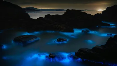 Свечение воды, природа, фото - Новости Zakon.kz от 04.11.2025 08:20