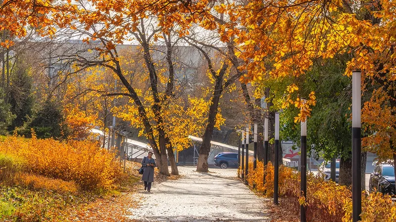Зима скоро: популярный фотограф показал, как Алматы феерично прощается с осенью