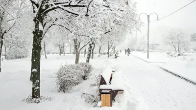 , фото - Новости Zakon.kz от 04.11.2025 16:43