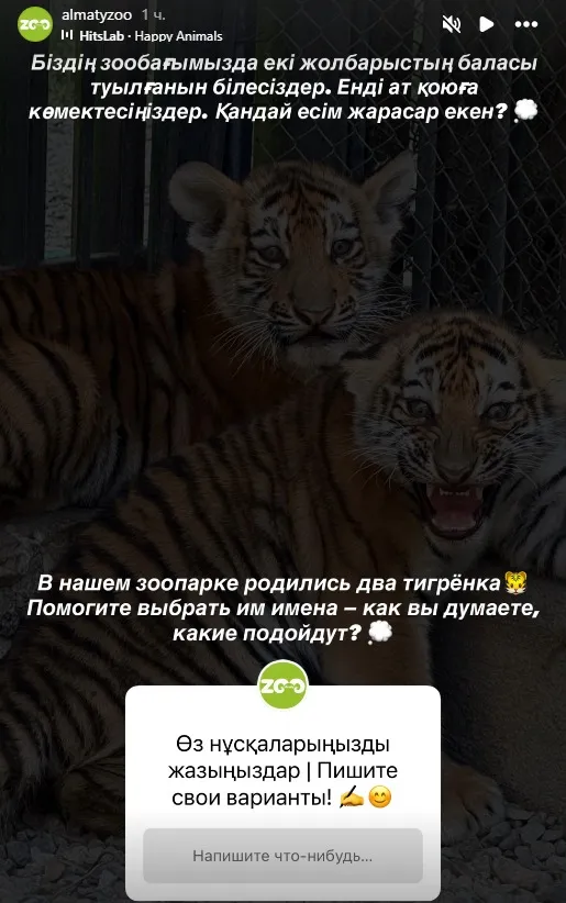 скриншот сторис инстаграма зоопарка Алматы, фото - Новости Zakon.kz от 03.11.2025 12:32