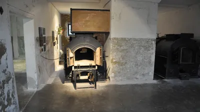 , фото - Новости Zakon.kz от 12.01.2026 13:49