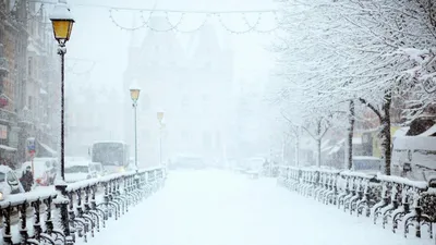 снегопад, фото - Новости Zakon.kz от 03.11.2025 18:14