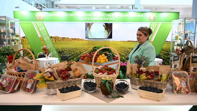 Как будут контролировать уплату НДС по выставочно-ярмарочной торговле с 2026 года