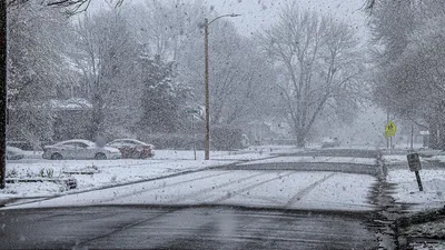 , фото - Новости Zakon.kz от 04.11.2025 15:15