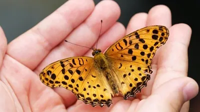 Гороскоп на 3 ноября, фото - Новости Zakon.kz от 03.11.2025 07:50