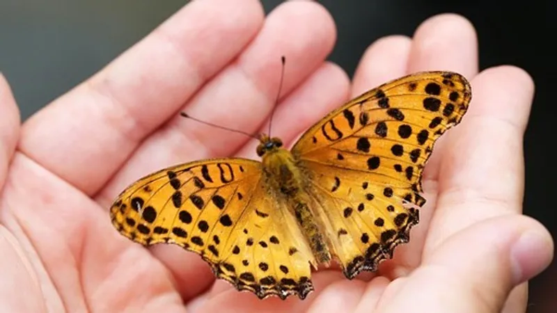 Гороскоп на 3 ноября: отпустите обиды