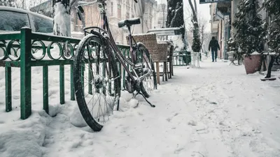 , фото - Новости Zakon.kz от 04.11.2025 15:32