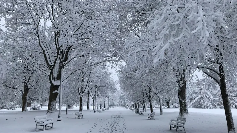 Дождь с переходом в снег, мороз до -15°C и гололед обрушатся на Астану, Алматы и Шымкент 5-7 ноября