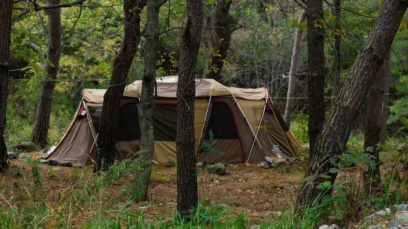 Куда поехать в ноябре: лучшие места для отдыха в Казахстане