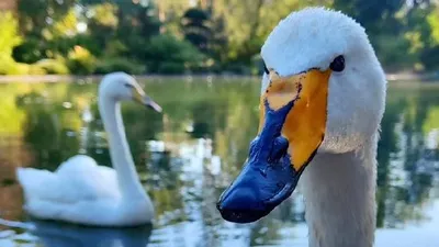 Ботанический сад Алматы, фото - Новости Zakon.kz от 05.11.2025 04:14