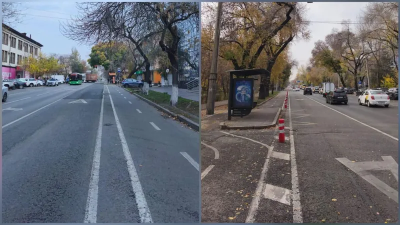 В Алматы убирают защитные столбики вдоль велополос