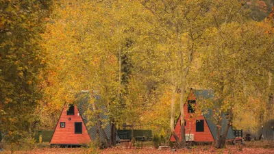 домики для отдыха в лесу, фото - Новости Zakon.kz от 04.11.2025 15:20