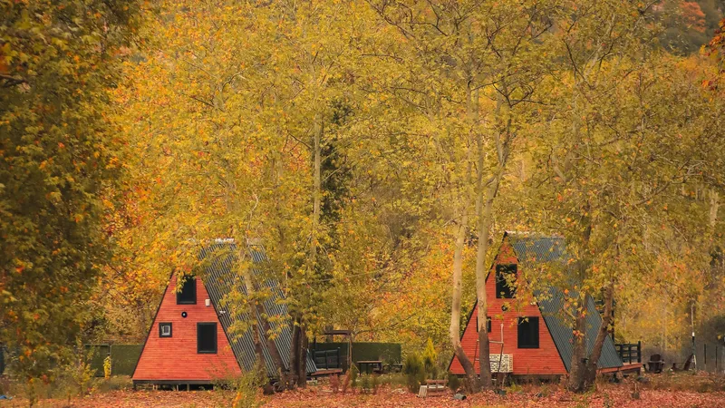 Казахстанцы арендовали домики для отдыха и только на месте узнали, что их обманули