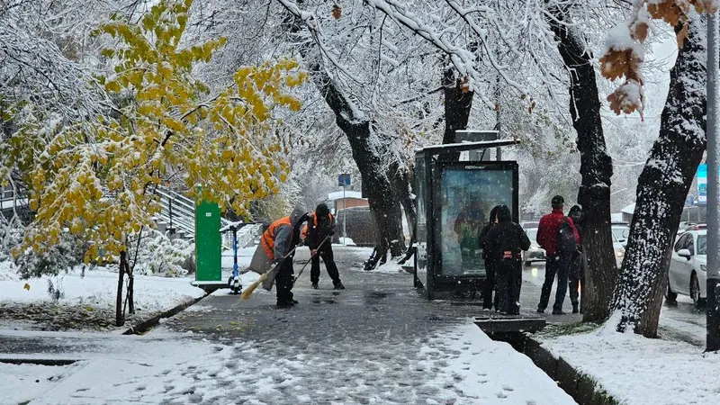 Сколько снега выпало в Алматы за ночь