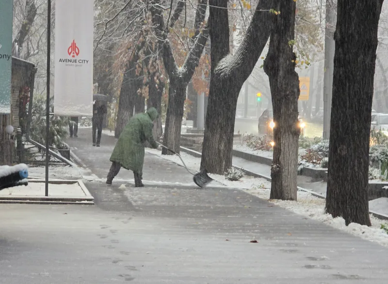 первый осенний снег, фото - Новости Zakon.kz от 05.11.2025 12:13