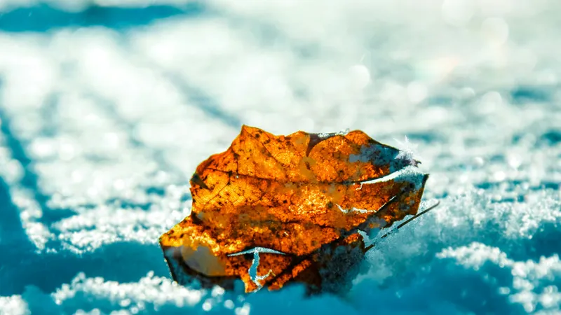 Снегопад в Астане, ночные морозы до -7°C и прекращение осадков в Алматы и Шымкенте: прогноз на 6-8 ноября