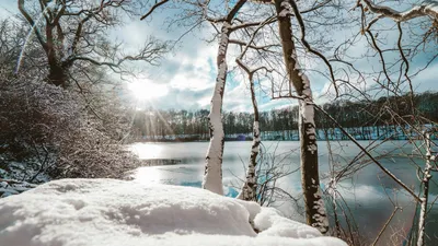 деревья, солнце, снег, фото - Новости Zakon.kz от 05.11.2025 17:51