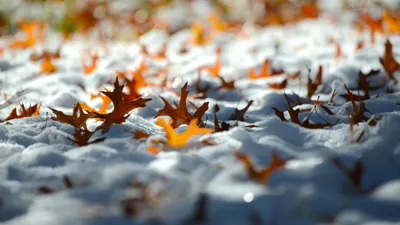 , фото - Новости Zakon.kz от 06.11.2025 17:33