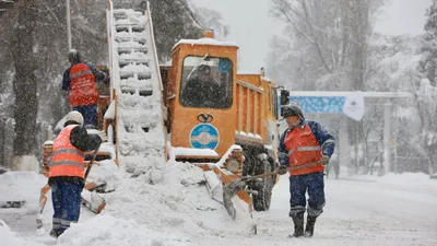 , фото - Новости Zakon.kz от 21.01.2026 17:18