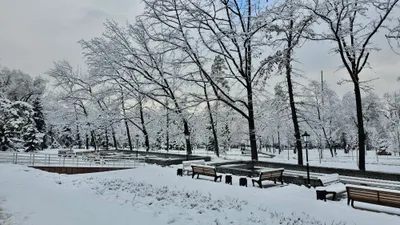 , фото - Новости Zakon.kz от 04.12.2025 09:30