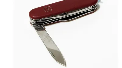 суд оштрафовал за нож в кармане, фото - Новости Zakon.kz от 06.11.2025 18:49