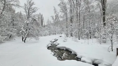 Снег, снегопад, зима, холод, мороз, заморозки, сурет - Zakon.kz жаңалық 22.01.2026 14:46