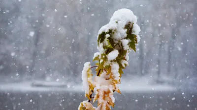 , фото - Новости Zakon.kz от 07.11.2025 09:19