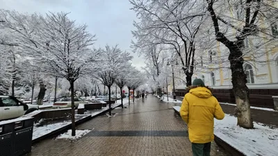 , фото - Новости Zakon.kz от 12.12.2025 17:21