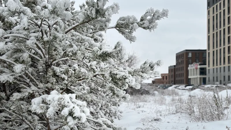 Снег, дожди и метель надвигаются на Казахстан