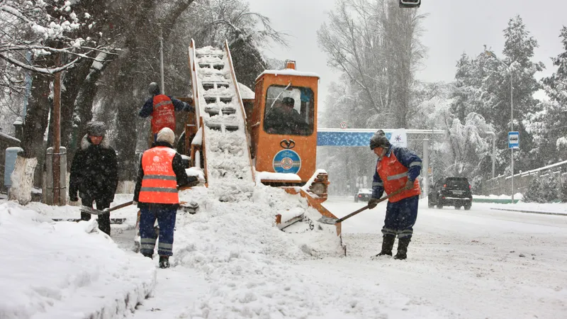 Шымкенттегі қолайсыз ауа райы: Дендросаябақ жабық, ағаштар құлауда, электр қуаты өшірілді