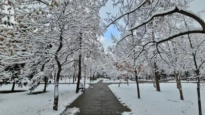 , фото - Новости Zakon.kz от 17.12.2025 16:35