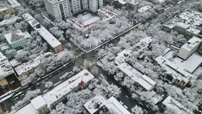 , фото - Новости Zakon.kz от 17.12.2025 17:59