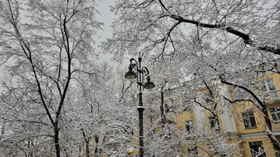 Алматы, Алматы зимой, виды города Алматы, зима в Алматы, зимой в Алматы, зимний Алматы, заморозки в Алматы, мороз в Алматы, снег в Алматы, похолодание в Алматы, снегопад, снегопад в Алматы, фото - Новости Zakon.kz от 04.01.2026 14:36