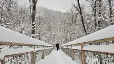 , фото - Новости Zakon.kz от 01.12.2025 17:33