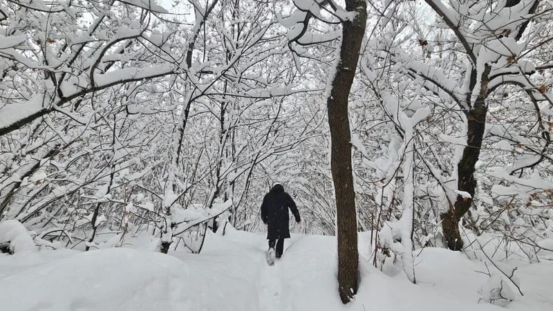 15-17 қаңтар: Алматыға қар жауады, ал Астана мен Шымкентте жаңбыр мен тұман күтіледі