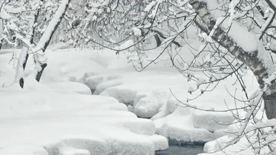 , фото - Новости Zakon.kz от 16.01.2026 17:24