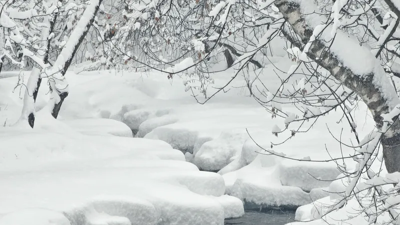 Морозный удар до -62°С в ВКО? Синоптики уточнили реальные цифры
