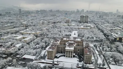 , фото - Новости Zakon.kz от 10.12.2025 17:45