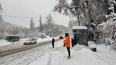 Общественный транспорт в Алматы, автобусы в Алматы, автобусы Алматы, общественный транспорт Алматы , фото - Новости Zakon.kz от 20.01.2026 12:11