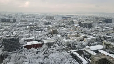 Алматы, Алматы зимой, виды города Алматы, зима в Алматы, зимой в Алматы, зимний Алматы, заморозки в Алматы, мороз в Алматы, снег в Алматы, похолодание в Алматы, снегопад, снегопад в Алматы, сурет - Zakon.kz жаңалық 21.01.2026 15:05
