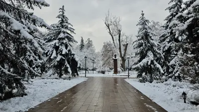 Алматы, Алматы зимой, виды города Алматы, зима в Алматы, зимой в Алматы, зимний Алматы, заморозки в Алматы, мороз в Алматы, снег в Алматы, похолодание в Алматы, снегопад, снегопад в Алматы, сурет - Zakon.kz жаңалық 12.12.2025 16:12