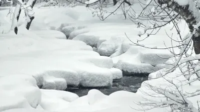 Снег, снегопад, зима, холод, мороз, заморозки, сурет - Zakon.kz жаңалық 14.01.2026 10:43